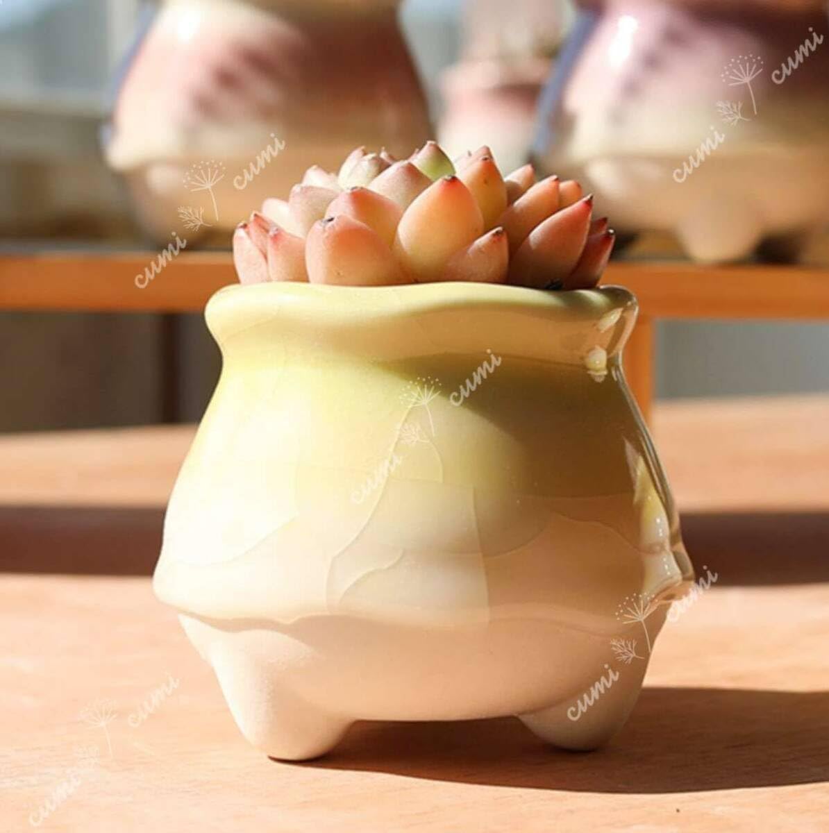 Amazon.co.jp: N0345 韓国 2号 6個セット雫シリーズ H かわいい 窯変